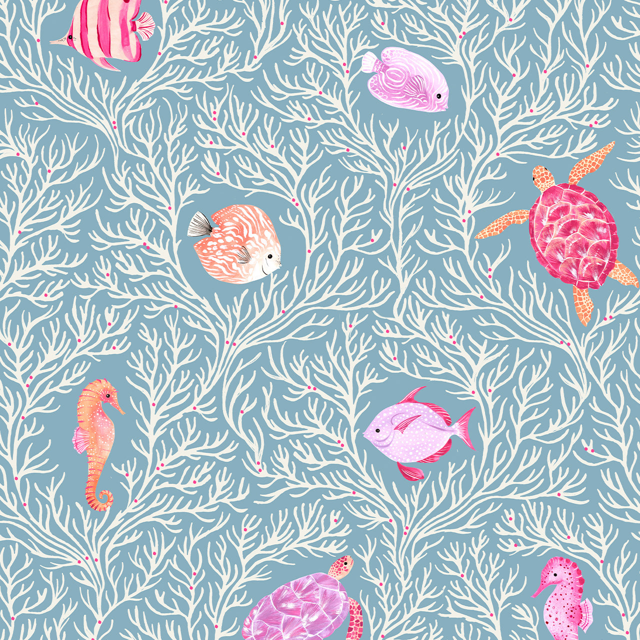 Dashwood Studio - Coral Coast - Sealife