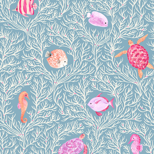 Dashwood Studio - Coral Coast - Sealife