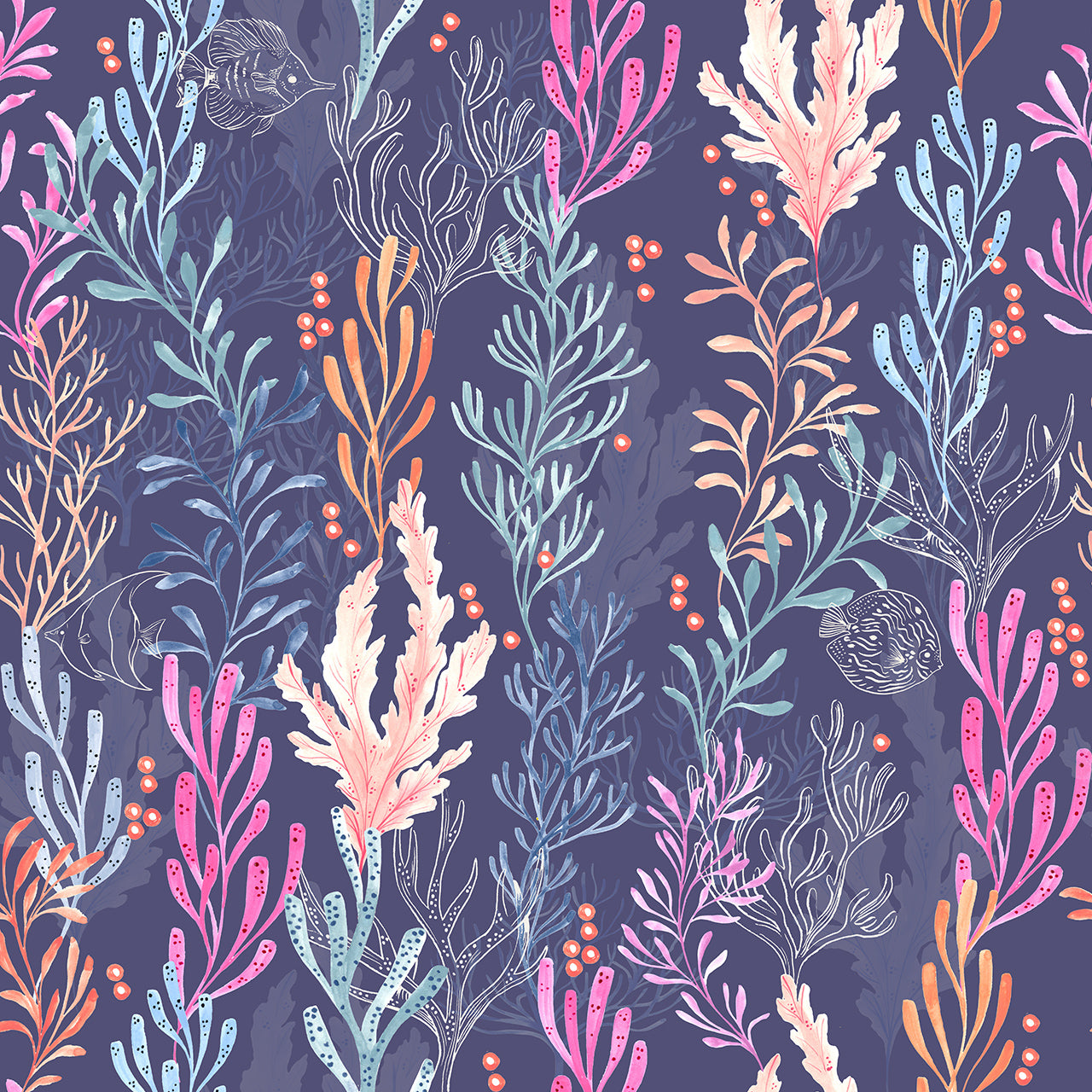 Dashwood Studio - Coral Coast - Corals