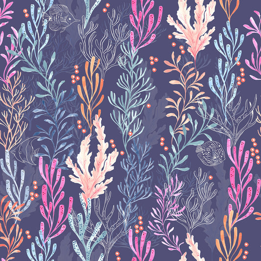Dashwood Studio - Coral Coast - Corals