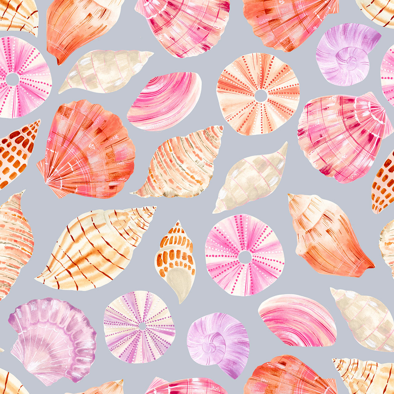Dashwood Studio - Coral Coast - Seashells