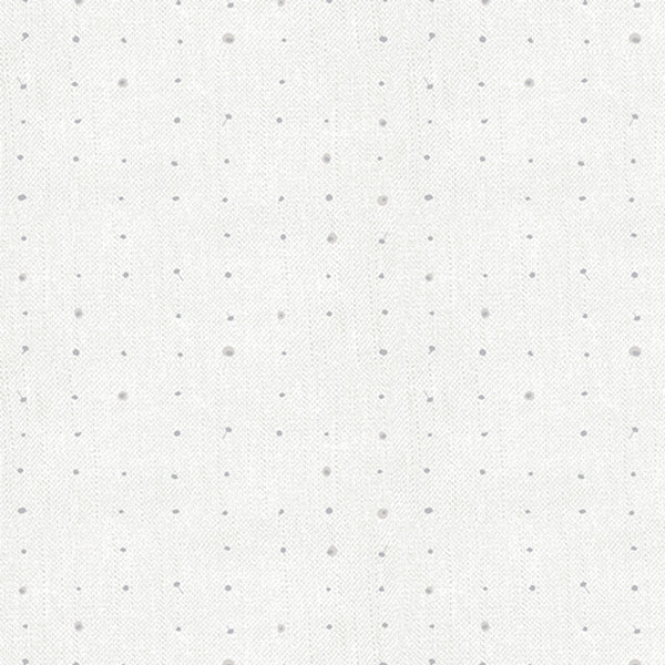 Art Gallery - Seedling - Seeds Longan