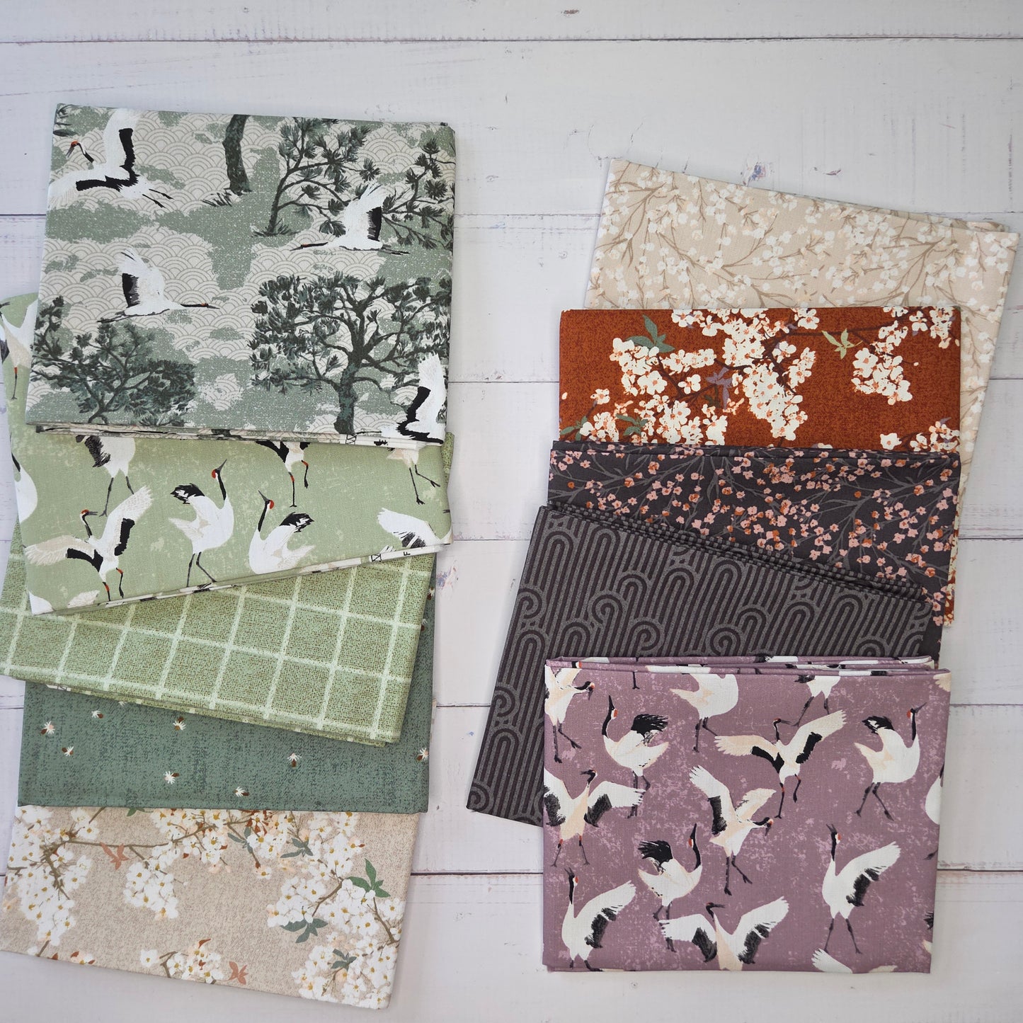 Art Gallery - Soar - Botanical Ascent Ume