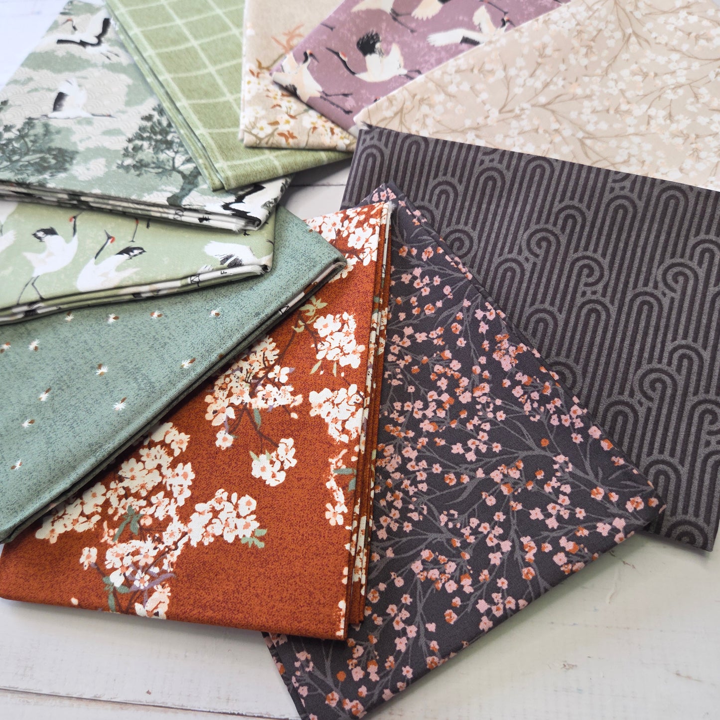 Art Gallery - Soar - Wanderwing