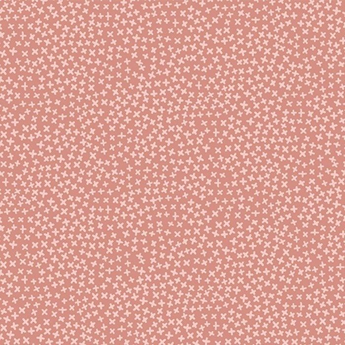 Dear Stella - Jax - sierra