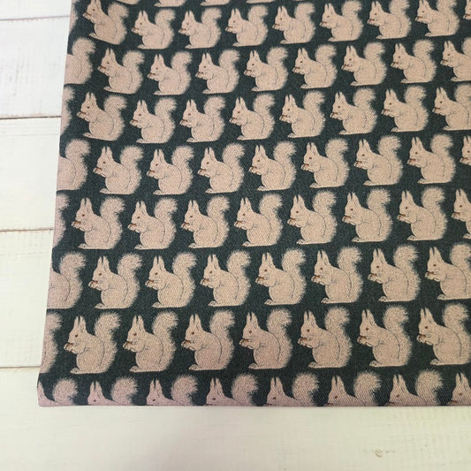 MYO Design - Twill Canvas - Stay Wild - Eichhörnchen petrol
