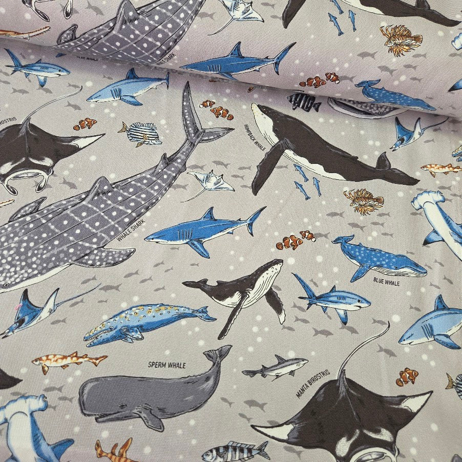 Kokka Canvas - Whale Shark and Blue Shark Oxford Canvas – Boy´s World