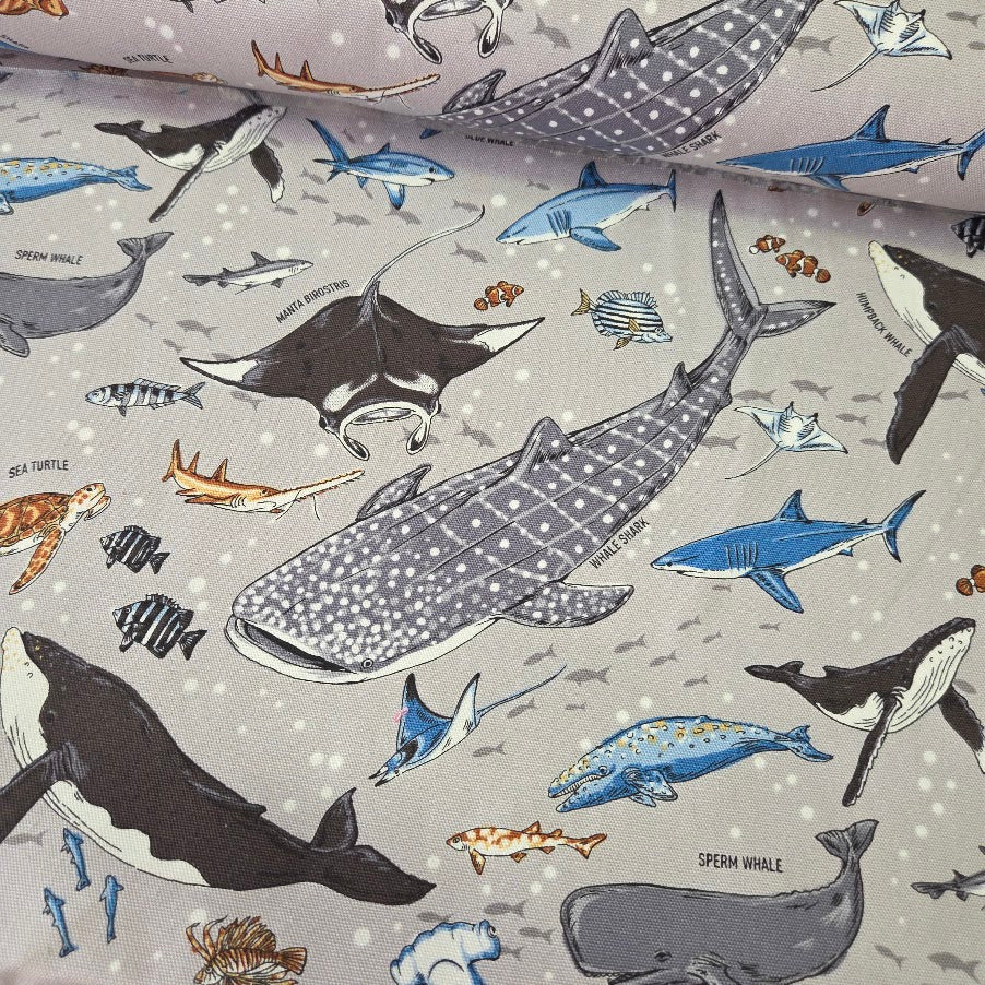 Kokka Canvas - Whale Shark and Blue Shark Oxford Canvas – Boy´s World