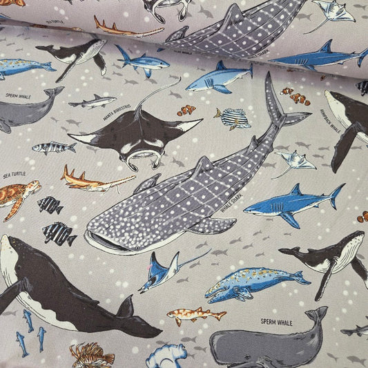 Kokka Canvas - Whale Shark and Blue Shark Oxford Canvas – Boy´s World