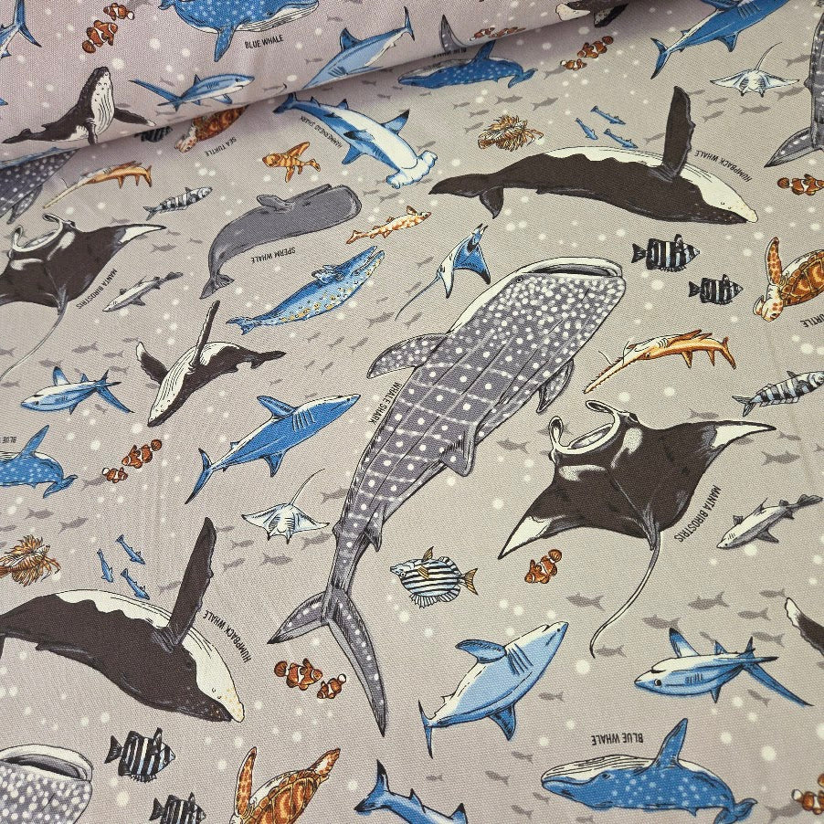 Kokka Canvas - Whale Shark and Blue Shark Oxford Canvas – Boy´s World