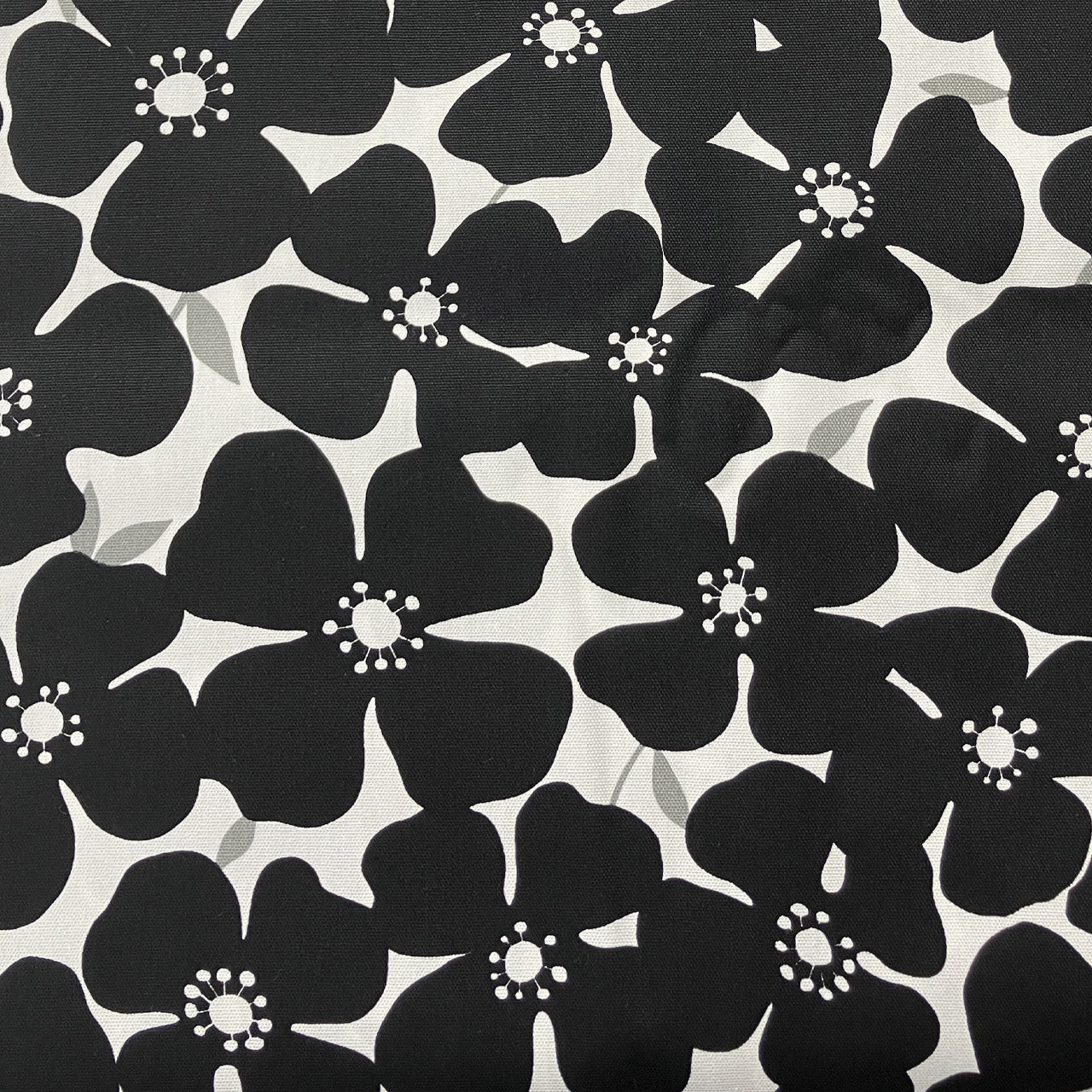 Sevenberry Canvas - Big Flowers - schwarz-weiss