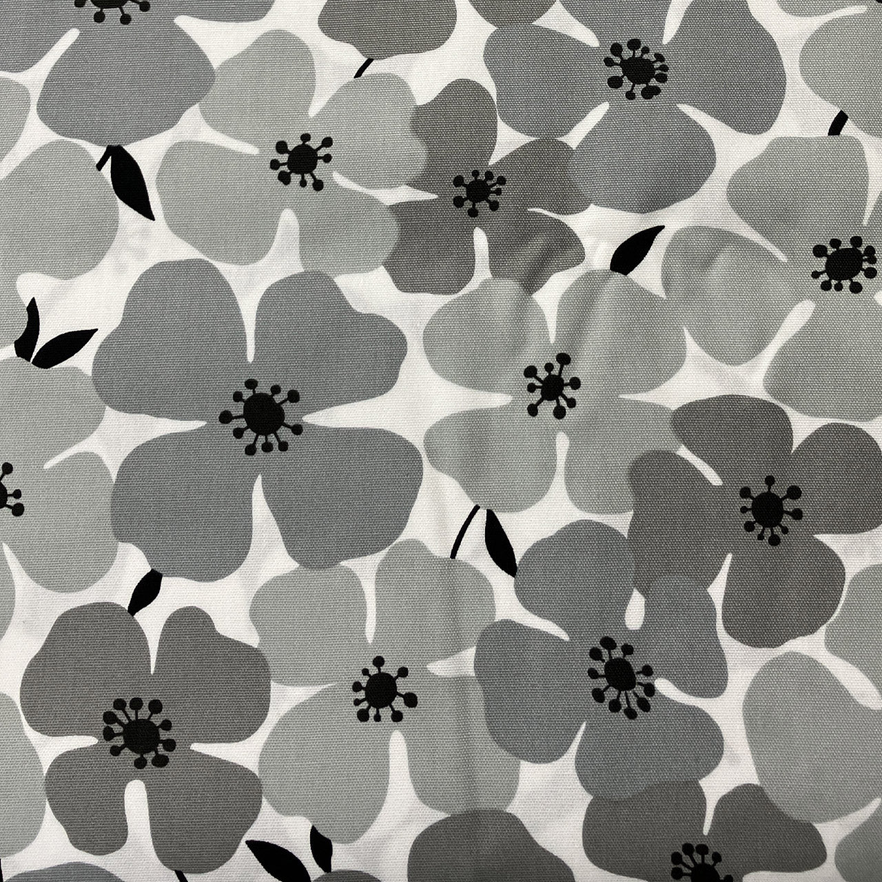 Sevenberry Canvas - Big Flowers - grau-weiss