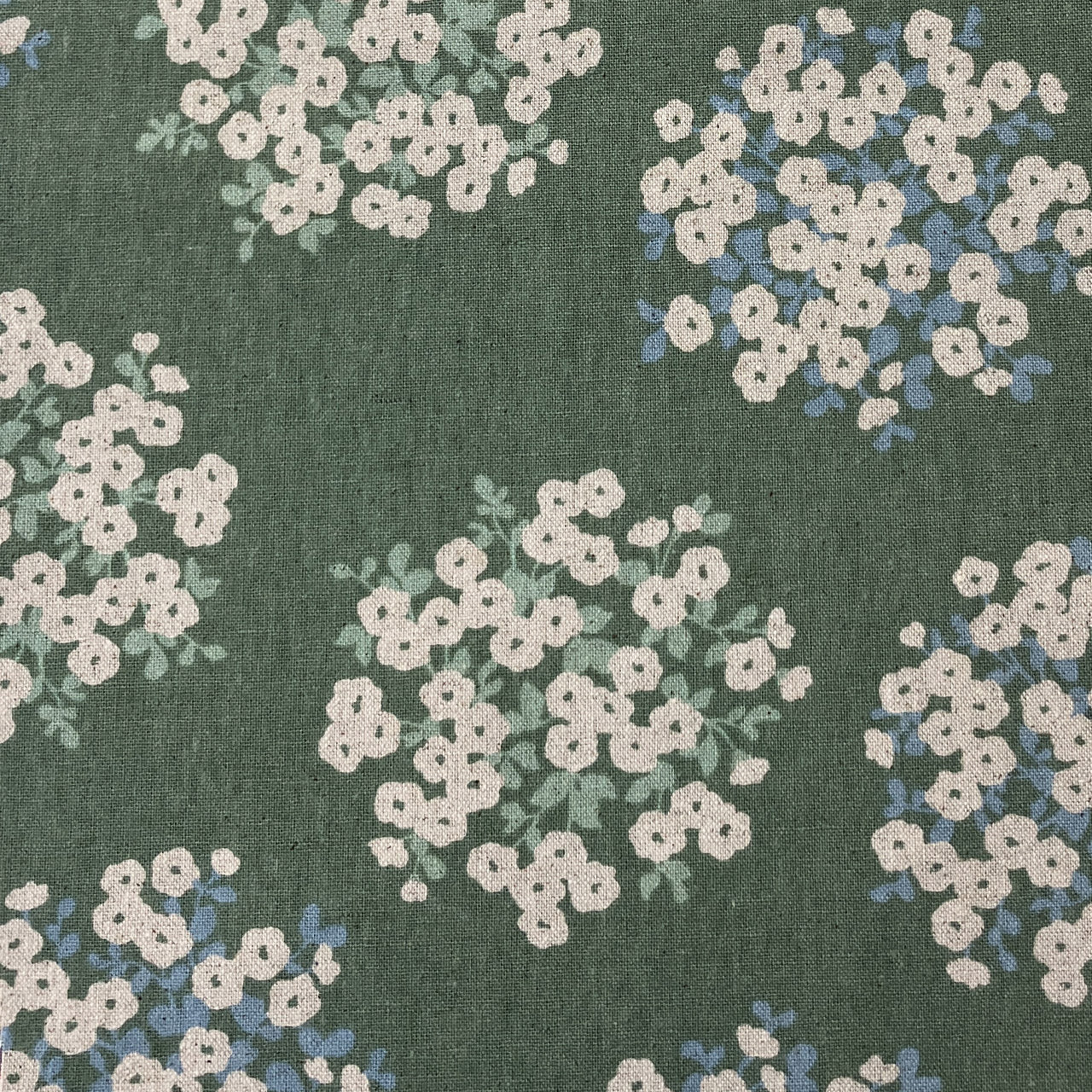 Sevenberry Canvas - Sophia - mint