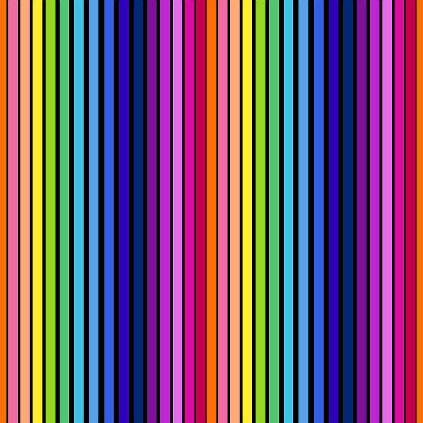 Windham Fabrics - Summer Friday - Carnival - black/multi