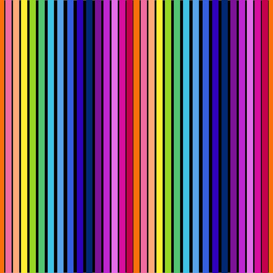 Windham Fabrics - Summer Friday - Carnival - black/multi