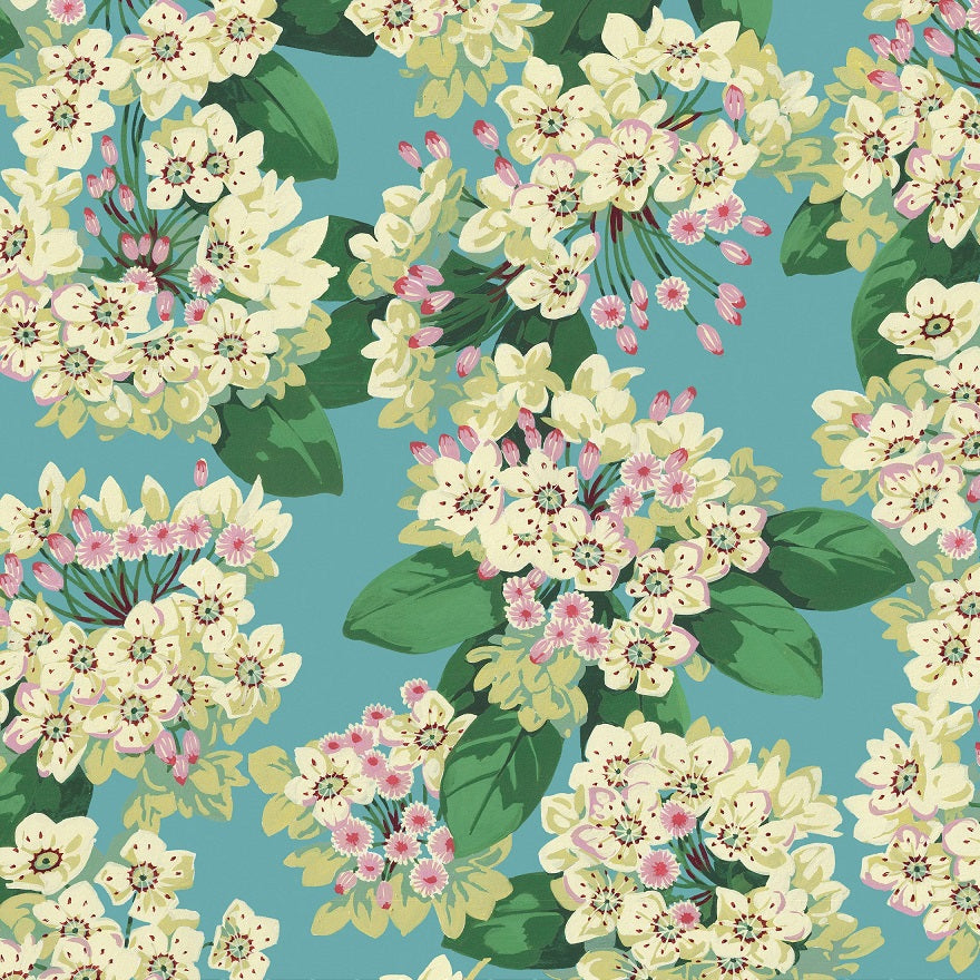 Free Spirit - Nation of Flowers - Mountain Laurel - aqua