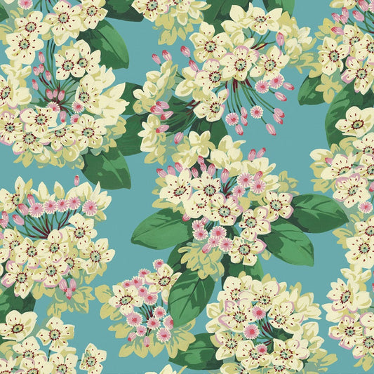 Free Spirit - Nation of Flowers - Mountain Laurel - aqua