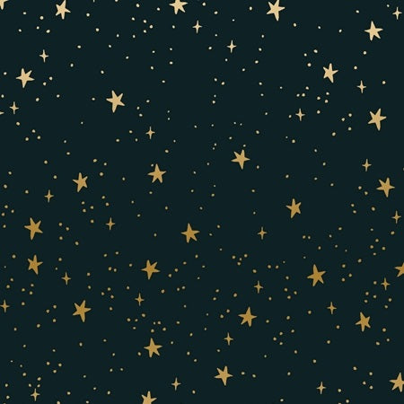 Cotton and Steel - Rifle Paper Co. - Primavera Stars - black metallic