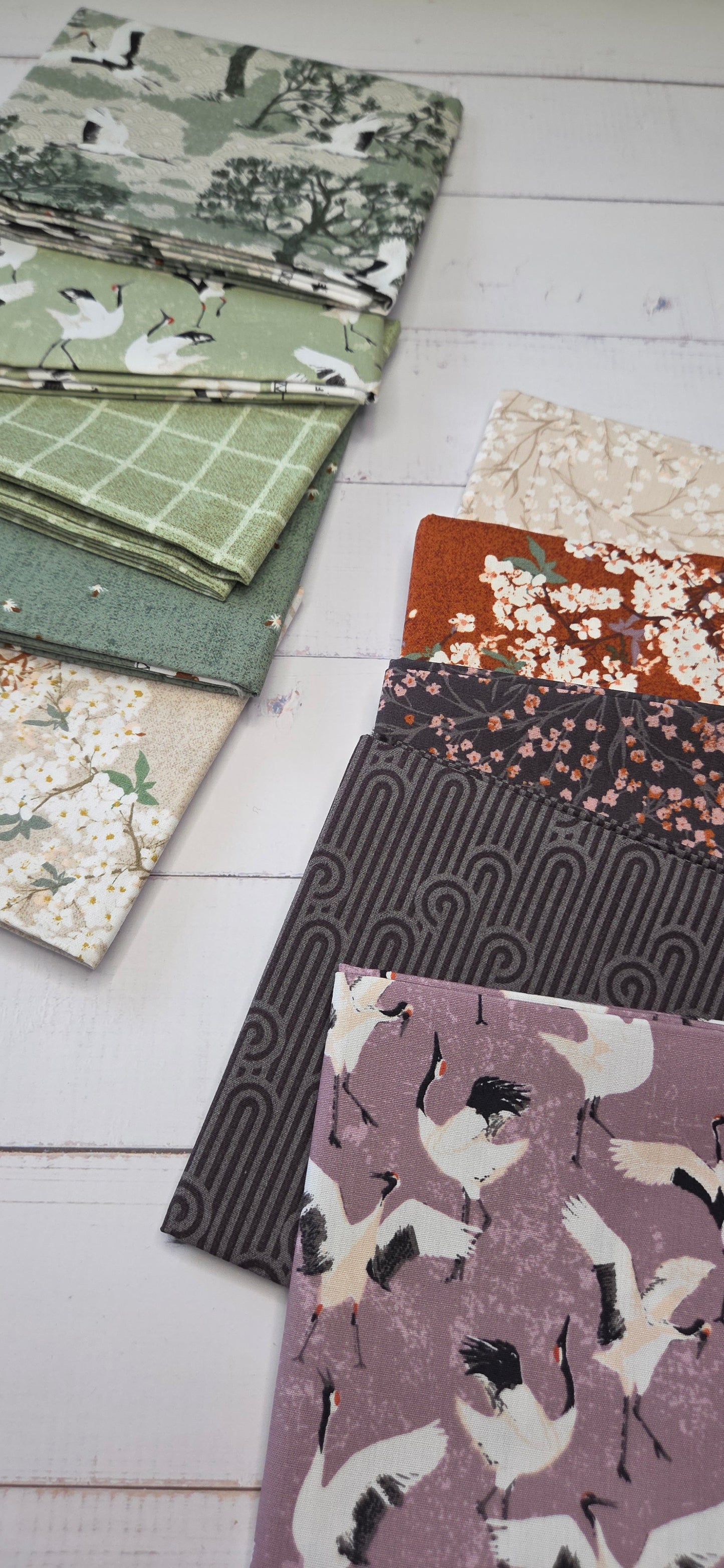 Art Gallery - Soar - Wanderwing