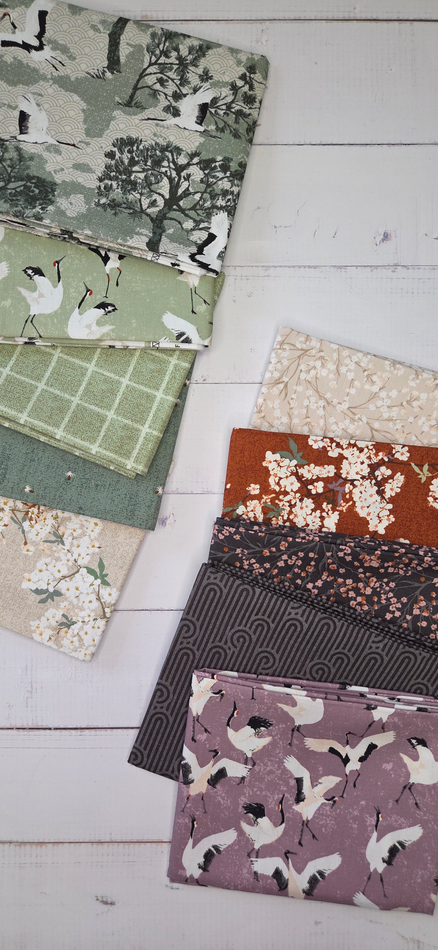 Art Gallery - Soar - Skye Sakura Sprout