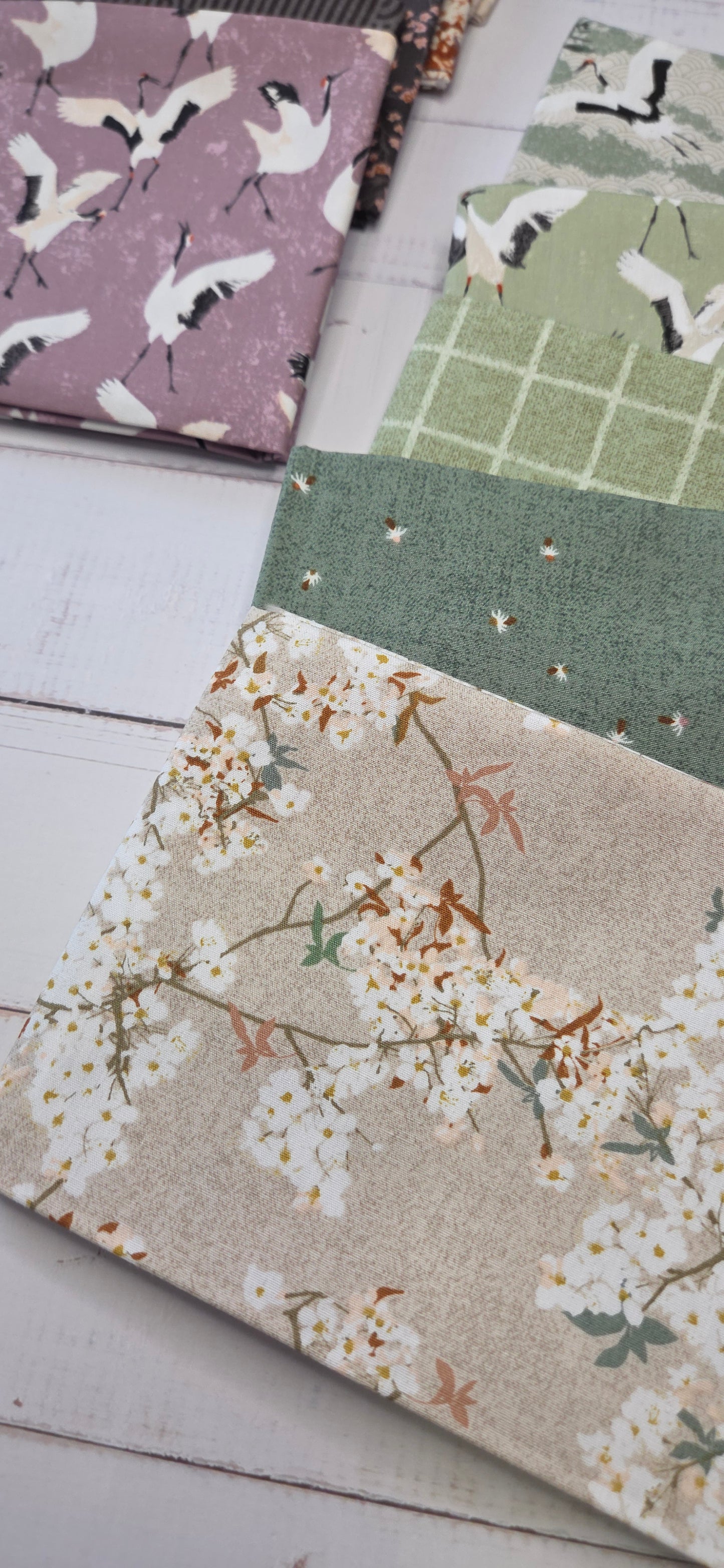 Art Gallery - Soar - Skye Sakura Sprout