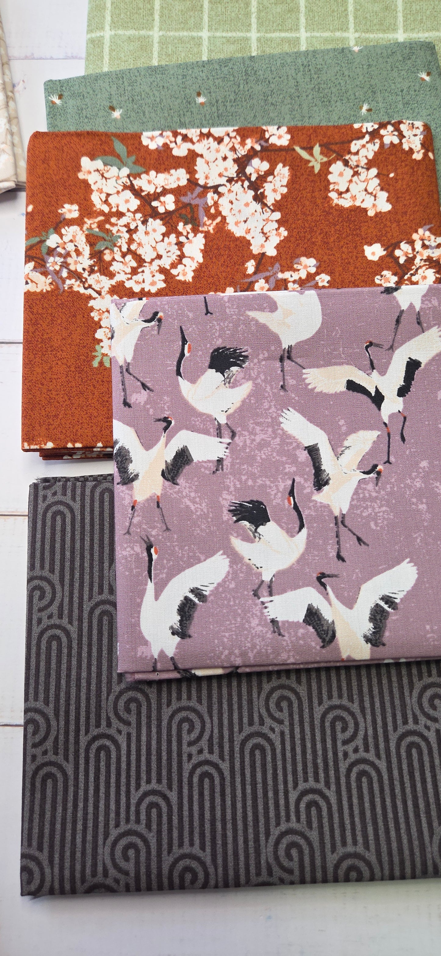 Art Gallery - Soar - Skye Sakura Blossom