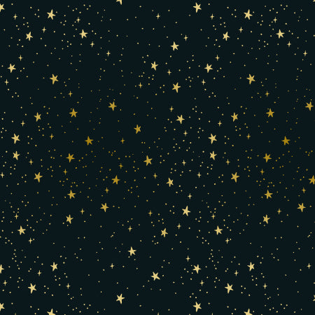 Cotton and Steel - Rifle Paper Co. - Primavera Stars - black metallic