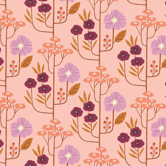 Dashwood Studio - Wild - rosé